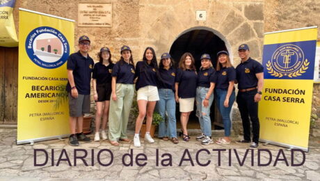 diario de la actividad